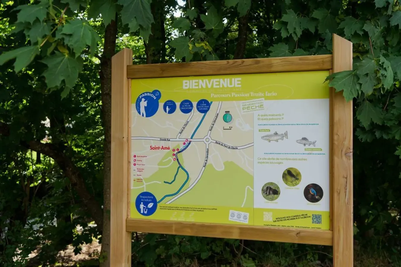 Sentier de pêche à la truite le long de la Cleurie à Saint-Amé