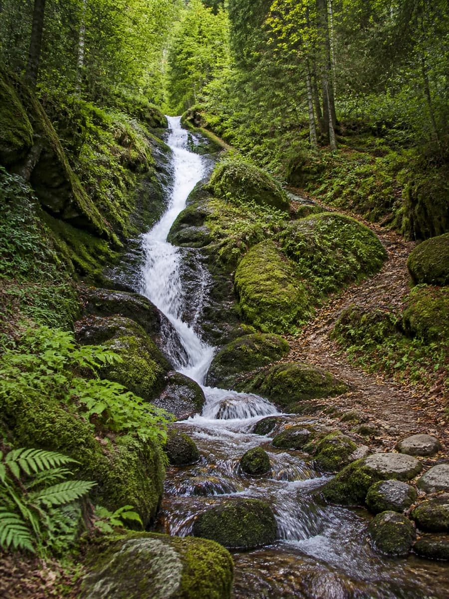 Cascade étroite entourée d