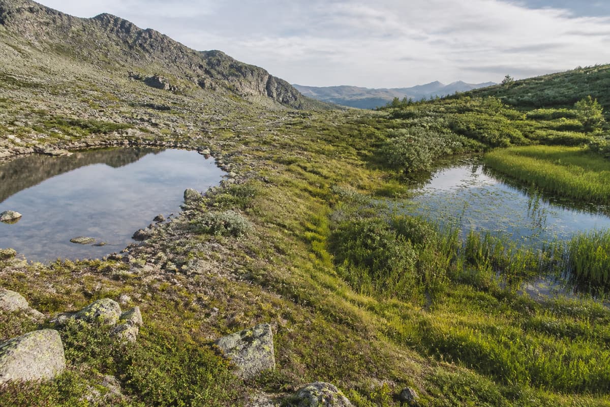 Deux plans d’eau contrastés se succèdent dans un paysage naturel : à gauche, un petit étang froid aux berges peu végétalisées ; à droite, un plan d’eau plus chaud bordé d’une végétation aquatique dense.