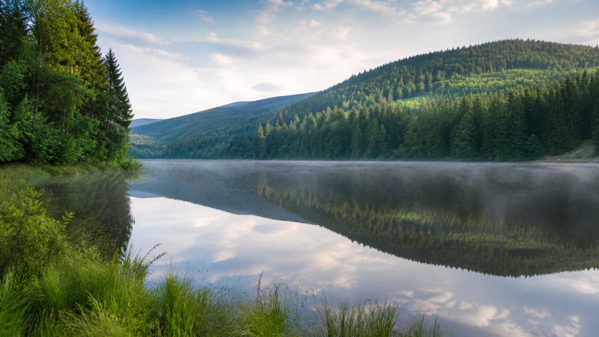 Lac de Gérardmer entouré de berges naturelles et de collines boisées sous une lumière naturelle.